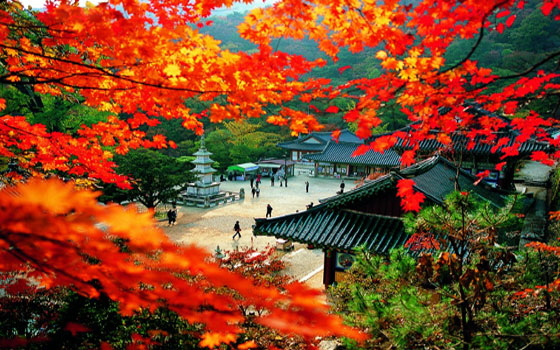 koreatour
